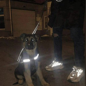 Салют