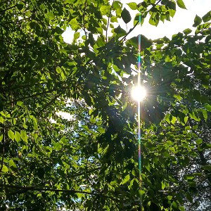 Light