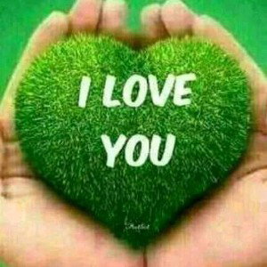 I love you