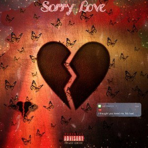 Sorry Love(feat. Waley lo' doss) 