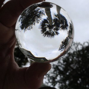 Im a bipolar polarbear...