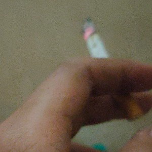 the pen