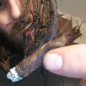 backwood freestyle