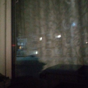 окно тигра