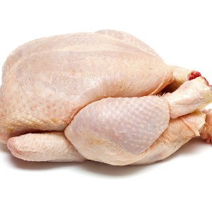 pollo testarudo.. 