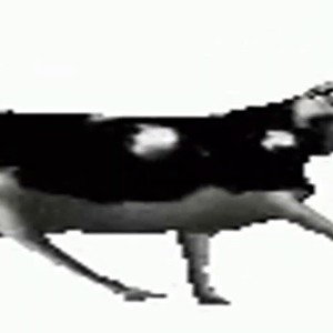 Долбучая корова