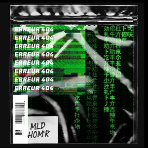 Erreur 404 Feat. Hom'r