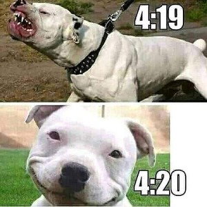 El Perro 