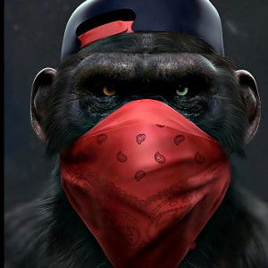 Skinny Gorilla 