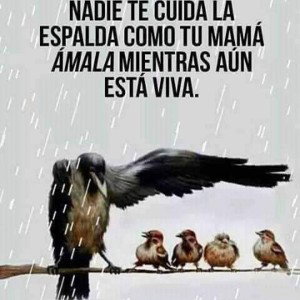 #ViejitaQuerida