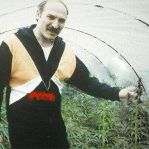 Кто сильнее ОБНОВКА