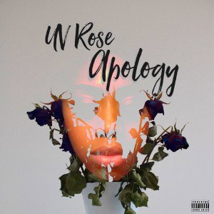 Apology 