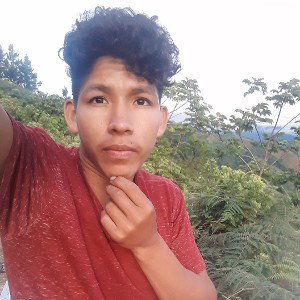 despejar la mente