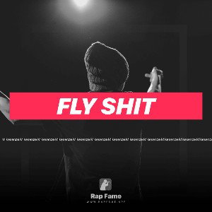 fly shit 