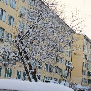 мама