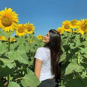 🌻Flor do meio dia🌼