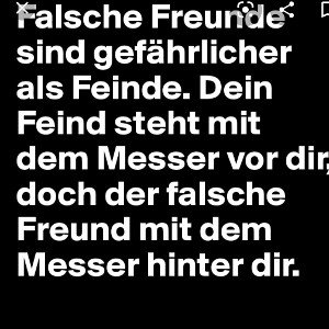 Feinde und Freunde
