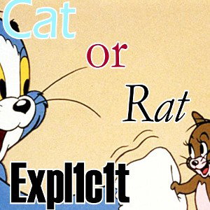 Cat or Rat