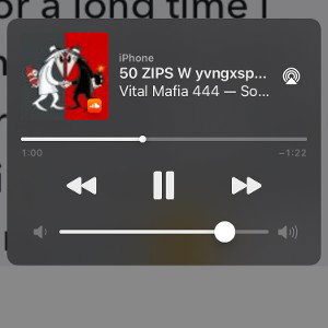 50ZIPZ