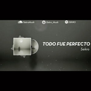 Sekro-Todo Fue Perfecto(Prod. by 19061)