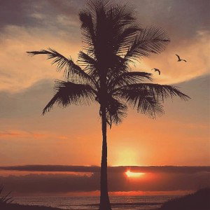 la plage