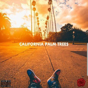 California Palm Trees