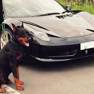 FERRARI FREE SM'X