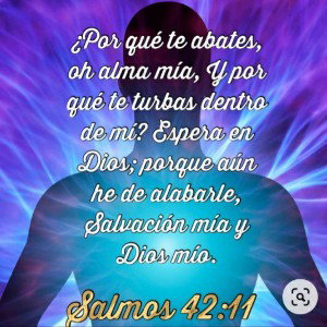 Salmo42