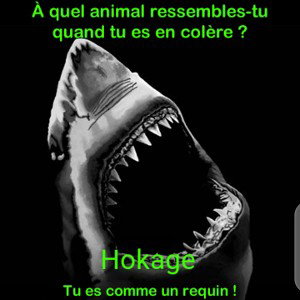 freestyle ténébreux