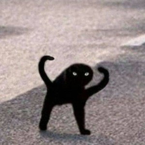 [Freestyle](Lil Shag Bag)