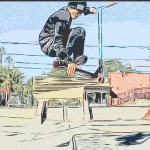 Whip 