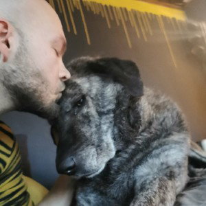 Wenn der Hundi... 