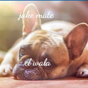 jake mate             el wala