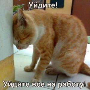 я котаюсь
