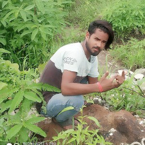 Lucky baba new song