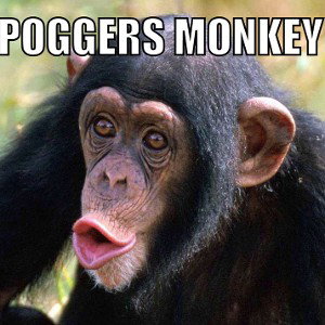 pogger monkey (ft.doctorducky)