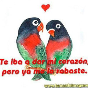 siempre ami lado  love forever 