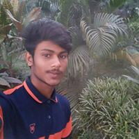 Pink _12-19
