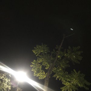 Slatty (03:17:37)