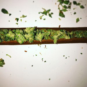 Off the dome 