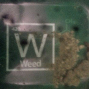 weed nugget(free)