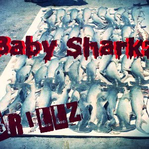 Baby Sharkz