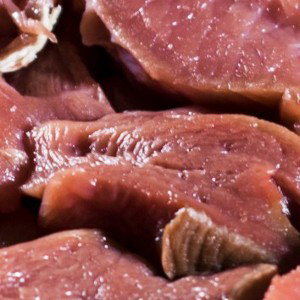fresh meat