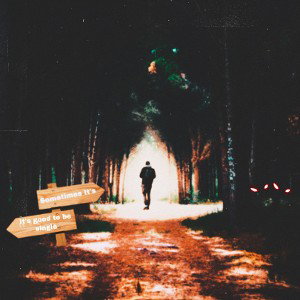 Alone in the woods