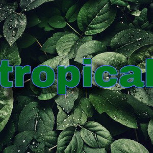 Tropical