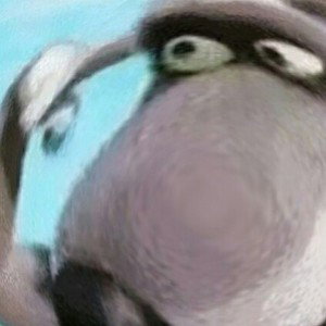 bitch