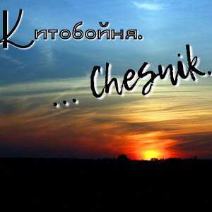 Китобойня