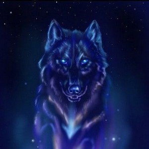 freestyle du loup