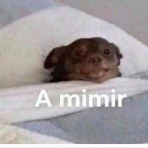 ricardo quer cochilar 