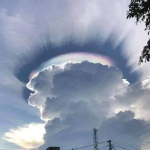 ANGELIC 👁